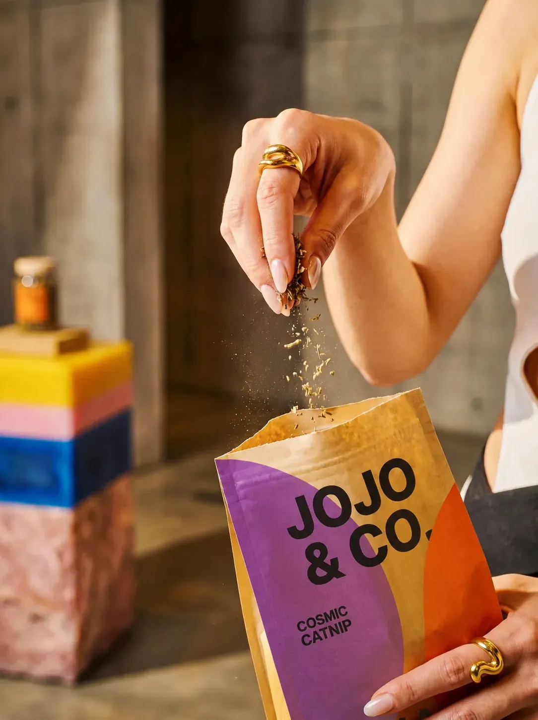 Jojo & Co — Pet Food Brand, image 15
