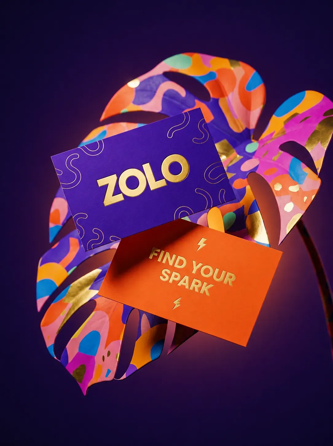 Zolo — Skincare Brand, image 31